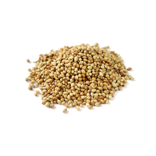 Coriander Seed Oil